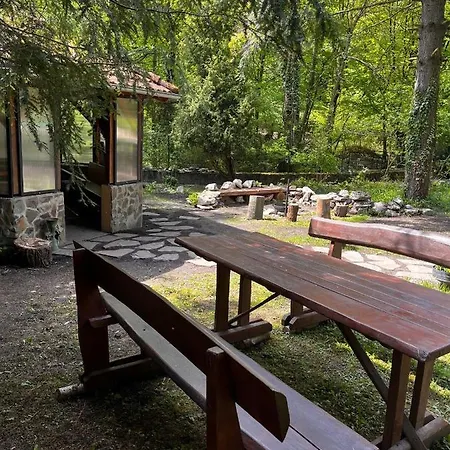 Romana * Pezinok